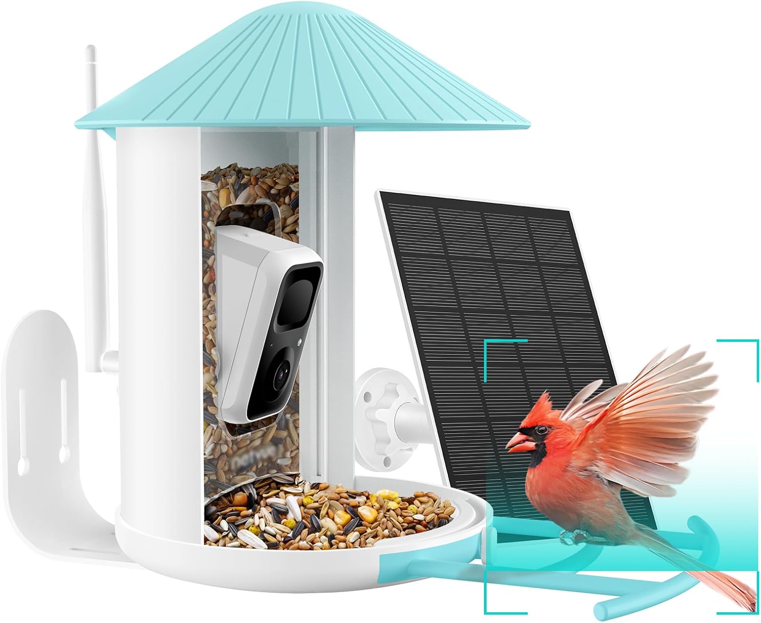 Ver especificaciones técnicas y precio actualizado de Netvue Birdfy Comedero Inteligente para Pájaros con Cámara AI 1080p y Panel Solar Fotografía técnica oficial de Netvue Birdfy Comedero Inteligente para Pájaros con Cámara AI 1080p y Panel Solar - Vista frontal con fondo neutro