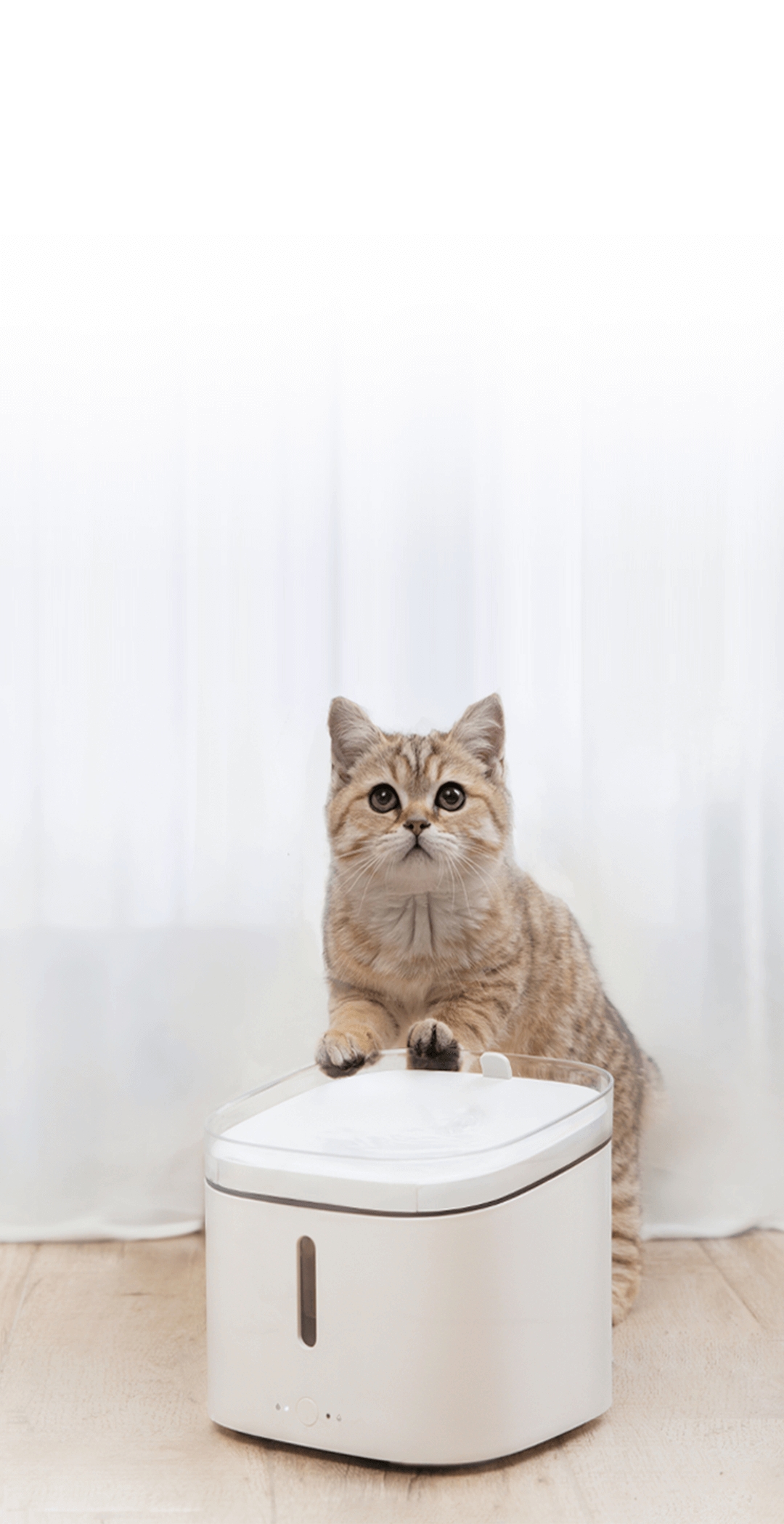 Ver especificaciones técnicas y precio actualizado de Xiaomi Smart Pet Fountain Fuente de Agua Inteligente con Filtrado Cuádruple y Modo Silencioso Fotografía técnica oficial de Xiaomi Smart Pet Fountain Fuente de Agua Inteligente con Filtrado Cuádruple y Modo Silencioso - Vista frontal con fondo neutro